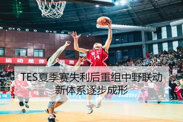 TES夏季赛失利后重组中野联动新体系逐步成形